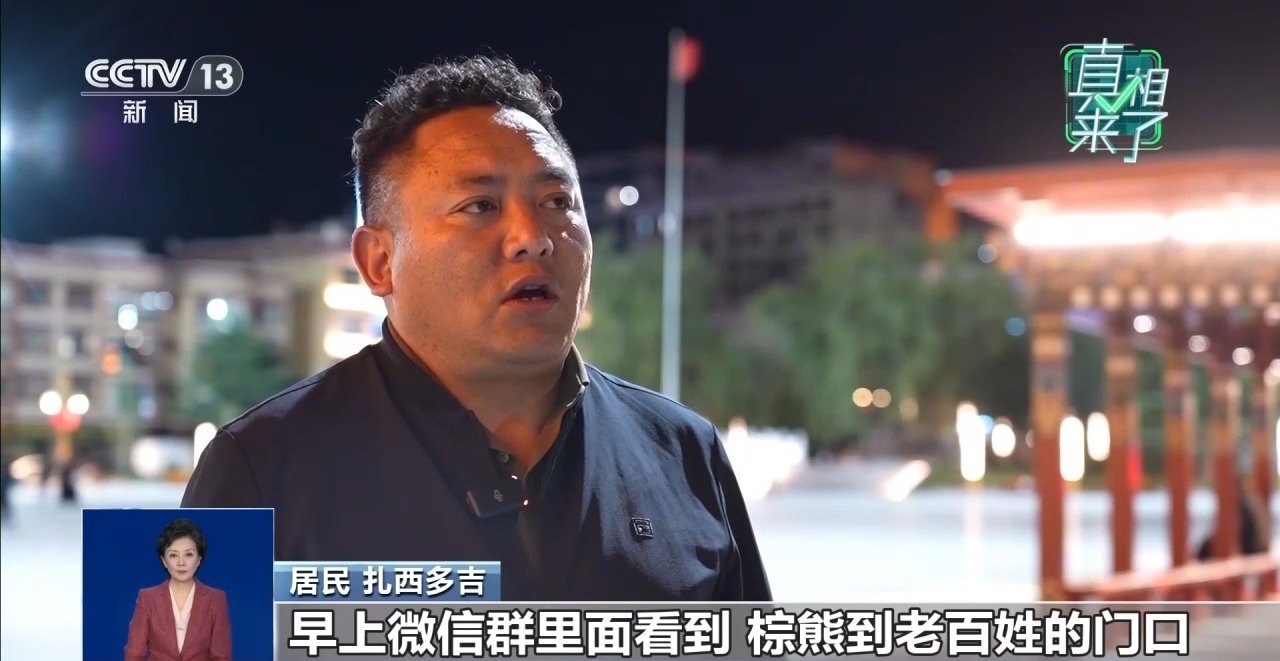 四川道孚“棕熊现身街头”图片系AI合成 两人被处罚